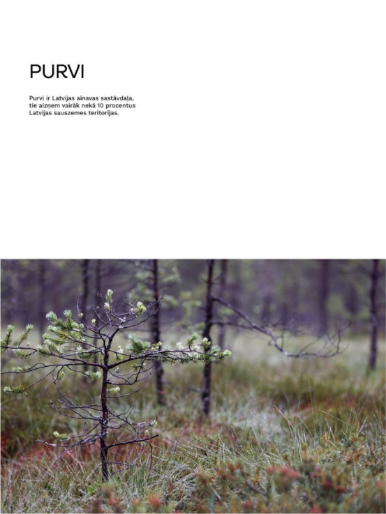 Book "Pavāru māja Līgatnē"