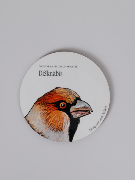 Coaster with Hawfinch Illustration