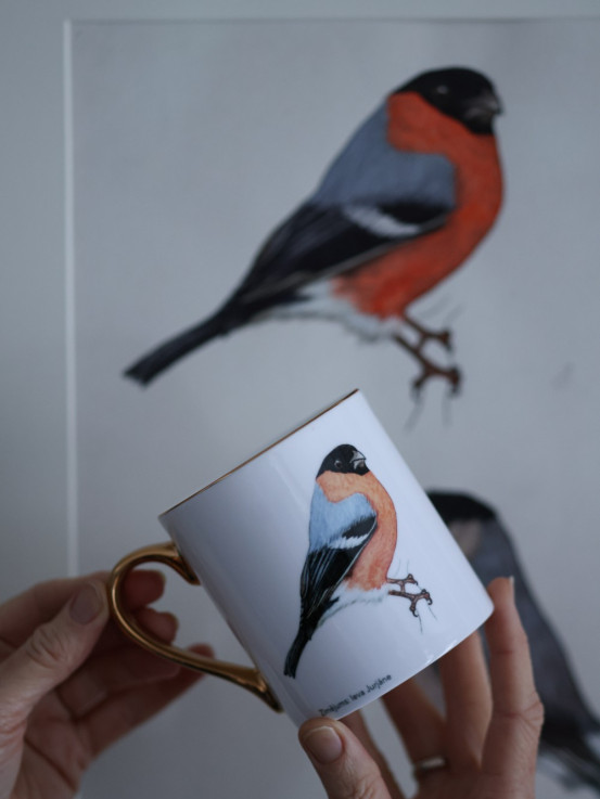 Pavāru mājas porcelāna krūze ar apzeltījumu - Svilpis